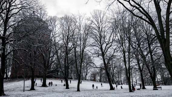 Zahlreiche Menschen sind im schneebedeckten Schanzenpark unterwegs. Im Hintergrund ist der Wasserturm zu sehen. Außern rodeln Kinder auf ihren Schlitten an Abhang herunter. © dpa-Bildfunk Foto: Christian Charisius