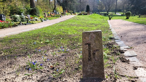 Blick auf eine Fläche des Heidefriedhofs im Süden Hamburgs. Dort sollen Menschen mit ihren Haustieren bestattet werden können. © NDR Foto: Karolin Weiß