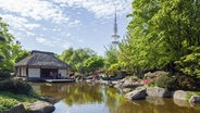 Das Teehaus im Japanischen Garten im Hamburger Park Planten un Blomen. © picture alliance / imageBROKER 