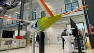 Ein Modellflieger ist im Zentrum für die angewandte Luftfahrtforschung ausgestellt. © Jenny Witt 