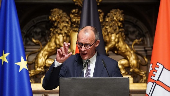 Friedrich Merz (CDU), spricht während der Verleihung des 32. Bürgerpreises der CDU Hamburg im Rathaus. © picture alliance/dpa | Marcus Brandt 