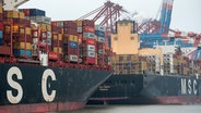 Containerschiffe mit der Aufschrift MSC liegen im Hamburger Hafen. © dpa/picture alliance 