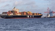 Das MSC-Containerschiff "Fabienne" läuft in den Hamburger Hafen ein. © IMAGO / Zoonar 