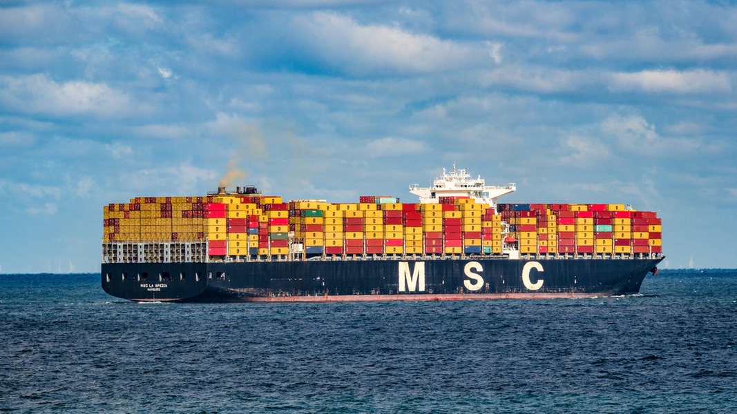 MSC-Einstieg im Hamburger Hafen endgültig abgesegnet