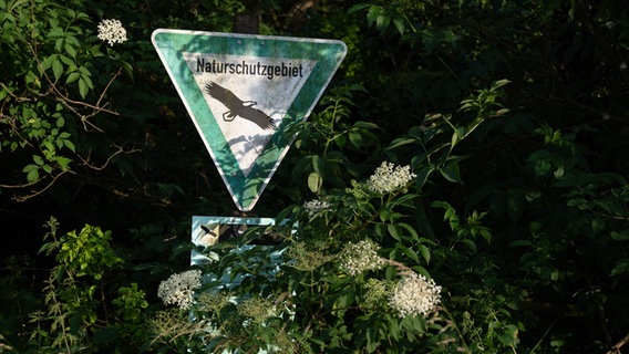 Ein Schild mit dem Schriftzug Naturschutzgebiet seht unter einem Hollunderbusch. © picture alliance Foto: Stephan Schulz