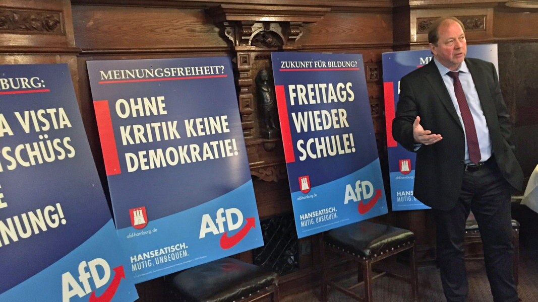 AfD will auf Inhalte statt auf Personen setzen | NDR.de - Nachrichten