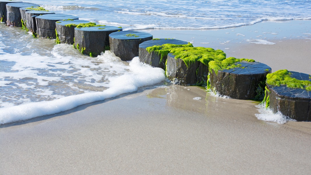 Klimawandel: 2023 war drittwärmstes Jahr in der Nordsee