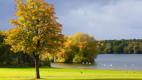 Dunkle Wolken ziehen über den Öjendorfer Park in Hamburg. © picture alliance / imageBROKER Foto: A. Sommer