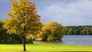 Dunkle Wolken ziehen über den Öjendorfer Park in Hamburg. © picture alliance / imageBROKER Foto: A. Sommer