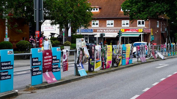 Wahlplakate auf einer Verkehrsinsel in Hamburg. (Archiv) © picture alliance / ABBfoto | - 