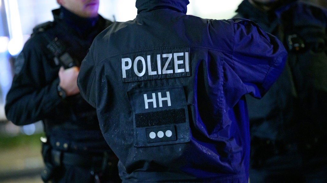 Hamburger Polizei Hebt Waffenlager In Bahrenfeld Aus | NDR.de ...