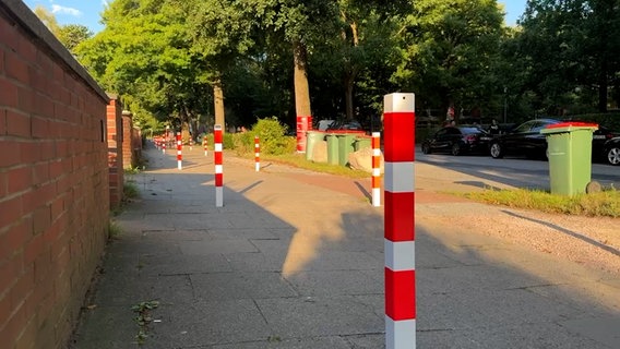 80 Poller stehen vor einer Schule in Harburg. © NDR Foto: Screenshot