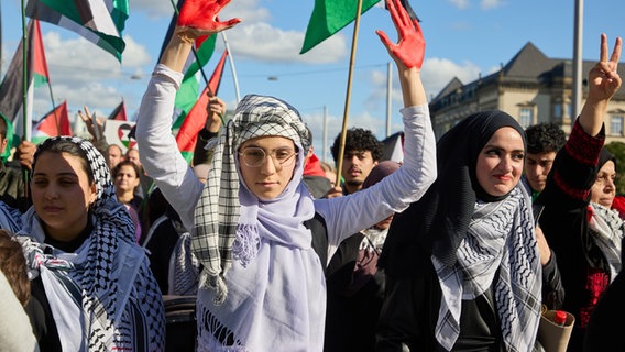 Eine Teilnehmerin einer Pro-palästinensischen Kundgebung unter dem Motto "Stop the Genocide" hält auf dem Steintordamm ihre rot bemalten Hände hoch. © picture alliance Foto: Georg Wendt