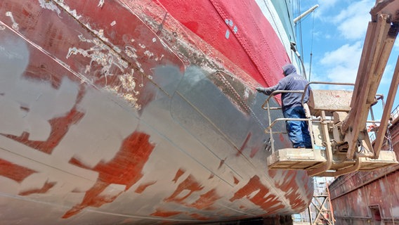 Das Unterwasserschiff der "Rickmer Rickmers" wird angestrichen. © NDR Foto: Dietrich Lehmann