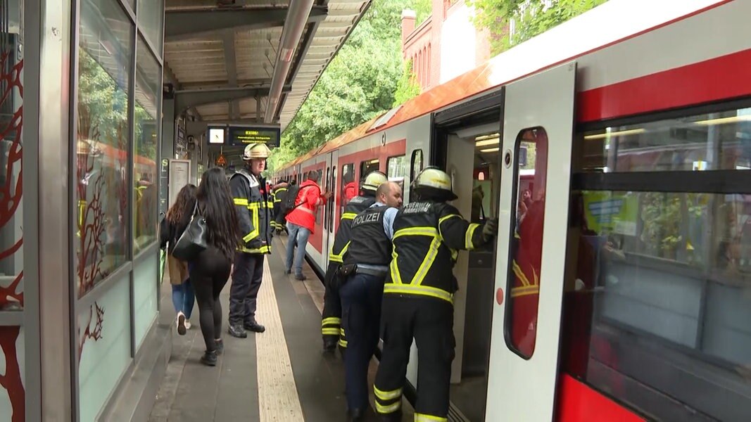 Baum Auf Gleise Gestürzt - Linie S1 Wieder Frei | NDR.de - Nachrichten ...