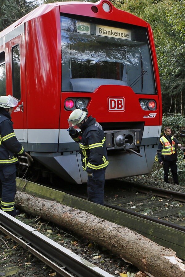 Sturmschäden sollen SBahn seltener lahmlegen NDR.de