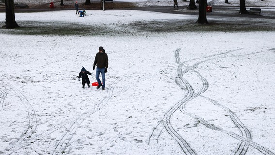 Ein Vater und sein Sohn sind mit ihrem Schlitten im leicht verschneiten Schanzenpark unterwegs. In Hamburg und Schleswig-Holstein ist in der Nacht zum 23.11.2024 der erste Schnee liegen geblieben. © picture alliance/dpa | Christian Charisius Foto: Christian Charisius