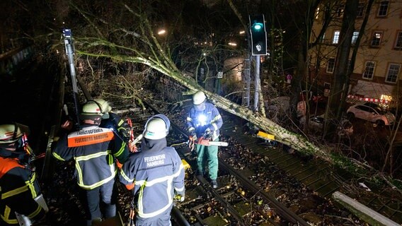 Nach einem Sturm entfernen Feuerwehrleute an der Hamburger Sierichstraße einen umgestürzten Baum von den Gleisen. © picture alliance/dpa Foto: Jonas Walzberg