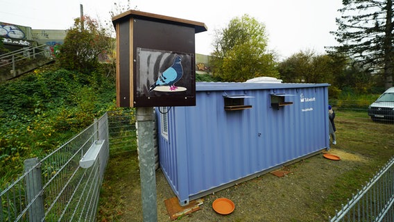 Ein Taubenloft in Barmbek. © CitynewsTV Foto: Frank Bründel