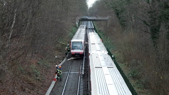 Eine U-Bahn der Linie U1 in Hamburg ist gegen einen auf den Gleisen liegenden Baum gefahren. © TeleNewsNetwork 