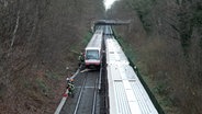 Eine U-Bahn der Linie U1 in Hamburg ist gegen einen auf den Gleisen liegenden Baum gefahren. © TeleNewsNetwork 