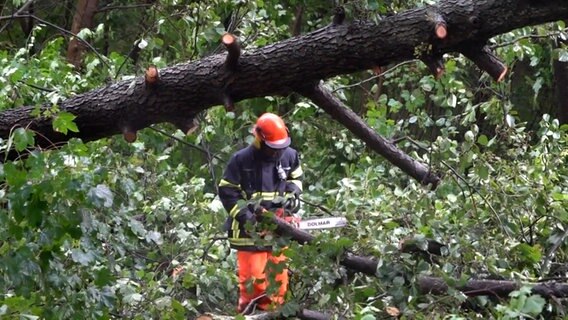 Die Feuerwehr musste mit Kettensägen anrücken. © TNN 