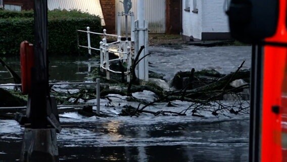 Der kleine Bach "An der Glinder Au" wurde zu einem Fluss. © NEWS5 