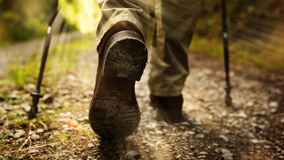 Eine Person spaziert über einen Wanderweg. © Shotshop Foto: Gudrun Krebs