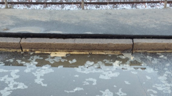 Ein Wasserrohrbruch in Hamburg Veddel sorgt für Verkehrsbehinderungen. © NDR Foto: Karsten Sekund