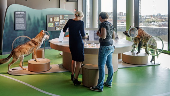 Zwei Besucherinnen stehen an einer Themeninsel in der Ausstellung "Botschaft der Wildtiere". © picture alliance/dpa Foto: Markus Scholz