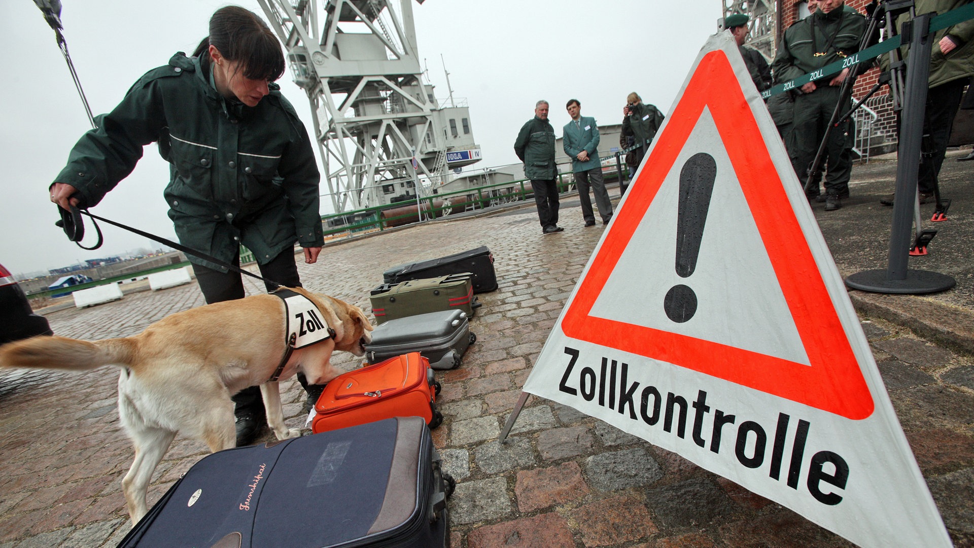 Artenschutz: Was Hamburgs Zöllner aus dem Verkehr ziehen