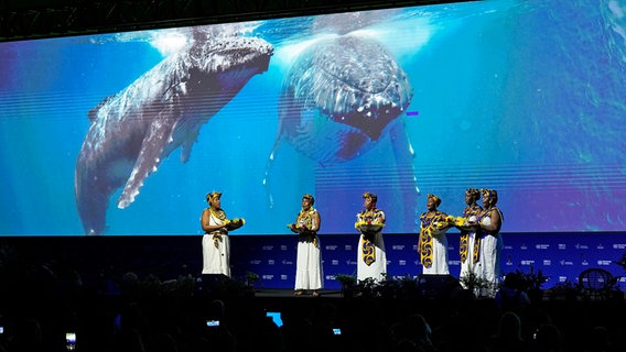 Afrokolumbianische Frauen stehen während der Eröffnungszeremonie der UN-Artenschutzkonferenz im kolumbianischen Cali auf der Bühne. © dpa-Bildfunk/AP Foto: Fernando Vergara