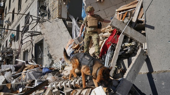Ein ukrainischer Soldat sucht in Charkiw mit einem Hund nach Opfern in einem Wohnhaus, das nach einem russischen Bombenangriff schwer beschädigt wurde. © AP/dpa Foto: Andrii Marienko