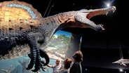 Eine Familie betrachtet ein lebensgroßes Modell eines Spinosaurus in der Erlebnisausstellung "Saurier - Giganten der Meere" im Aquarium Wilhelmshaven. © picture alliance/dpa | Hauke-Christian Dittrich 