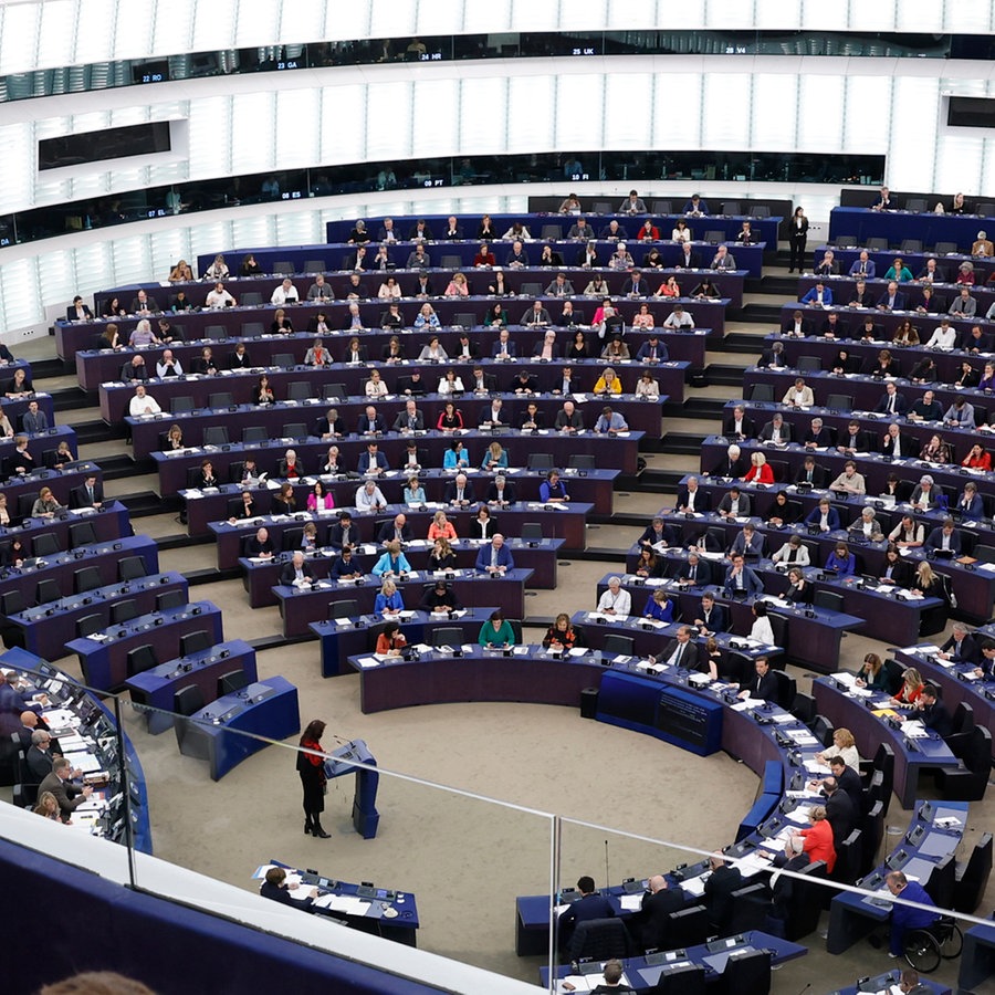 Abgeordnete nehmen an einer Sitzung im Europäischen Parlament teil. © picture alliance/dpa/AP Foto: Jean-Francois Badias