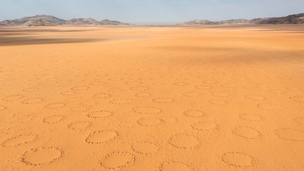 Sandwüsten-Ebene mit so genannten Feenkreisen in Namibia
