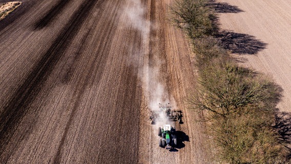 Luftaufnahme eines Traktors, der eine Egge über einen trockenen Acker zieht, um ihn für die Aussaat vorzubereiten. © dpa Foto: Jens Büttner