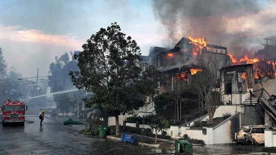 Feuerwehrleute der Feuerwehr von Los Angeles löschen einen Hausbrand im Stadtteil Pacific Palisades. © dpa bildfunk/AP Foto: Damian Dovarganes