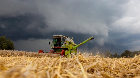 Getreideernte mit einem Mähdrescher kurz vor einem Unwetter © picture alliance Foto: Caro | Schwarz
