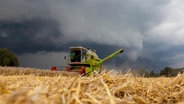 Getreideernte mit einem Mähdrescher kurz vor einem Unwetter © picture alliance Foto: Caro | Schwarz