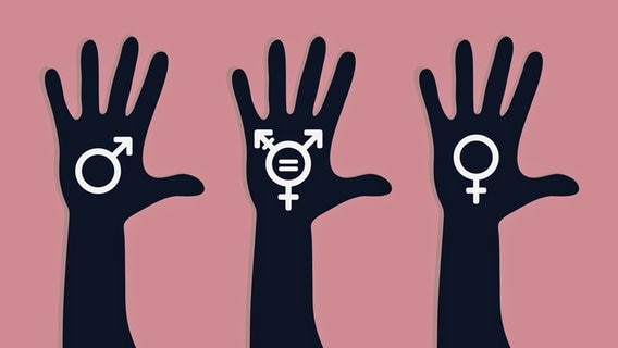 Drei schwarze Handsilhouetten auf rosa Hintergrund zeigen die Piktogramme für männlich, transgender und weiblich. © picture alliance / imageBROKER | PsychoShadow 