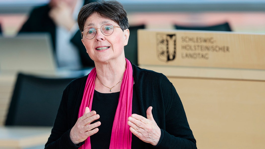 Schleswig-Holsteins Finanzministerin Monika Heinold (Grüne) bei einer Rede im Landtag.