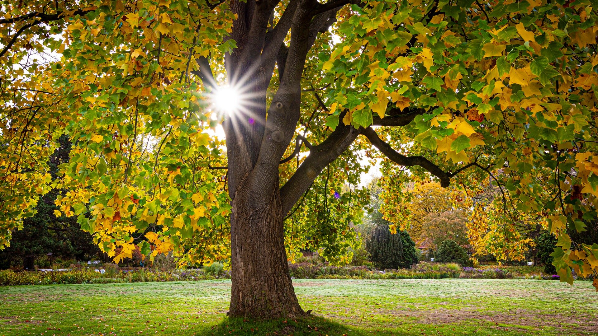 Oktober endet voraussichtlich mit Rekord-Temperaturen im Norden