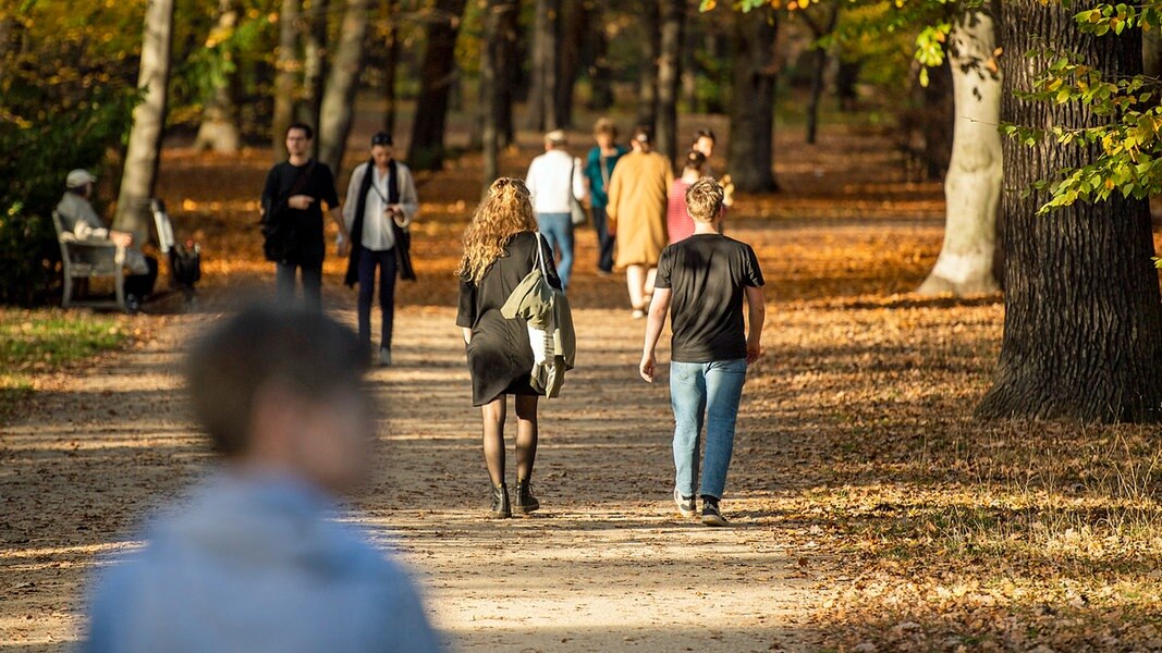 Wetterdienst Zieht Erste Bilanz: Rekordverdächtig Warmer Oktober | NDR ...