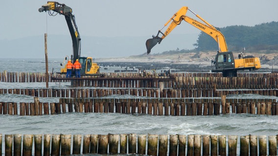 Neuendorf: Am Ostseestrand von Neuendorf auf der Insel Hiddensee rammen Bagger Buhnen mit FSC-zertifizierten Tropenholzstämmen in den Boden. (17.10.2011) © dpa-Bildfunk Foto: Stefan Sauer