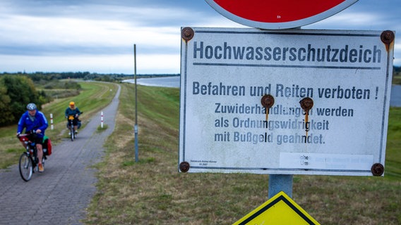 Radfahrer sind auf dem Fernradweg an der Elbe unterwegs. © picture alliance/dpa | Jens Büttner 