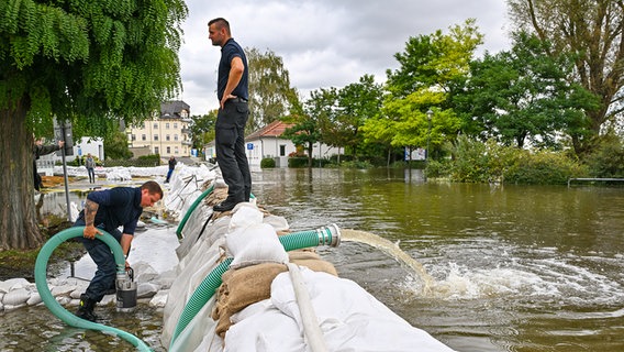 Einsatzkräfte der Feuerwehr helfen in Fürstenberg, einem Stadtteil von Eisenhüttenstadt, gegen das Hochwasser des Flusses Oder. © Picture Alliance Foto: Patrick Pleul