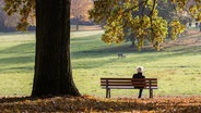 Eine Frau sitzt in der Herbstsonne auf einer Parkbank. © picture alliance / dpa | Frank Rumpenhorst 