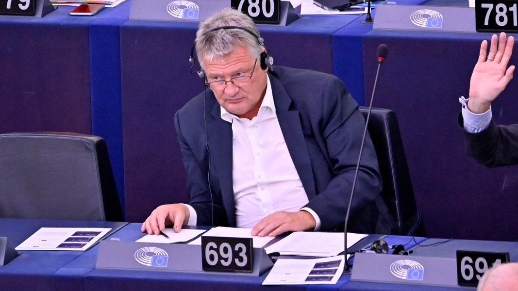 Jörg Meuthen bei einer Abstimmung im Plenarsaal des Europäischen Parlaments. 