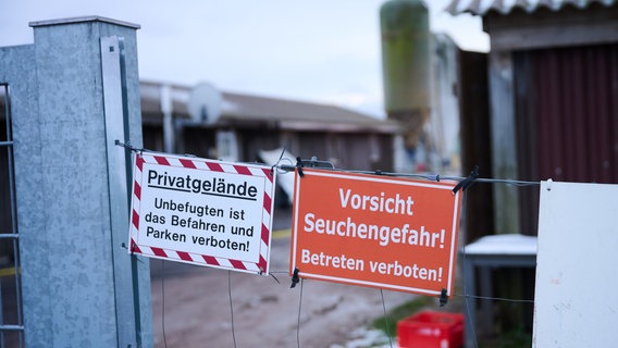 "Vorsicht Seuchengefahr!", steht auf einem Schild an einem Betrieb in Mehrow in Brandenburg. Es ist eine Vorsichtsmaßnahme nach dem Ausbruch der Maul- und Klauenseuche. © Annette Riedl/dpa 